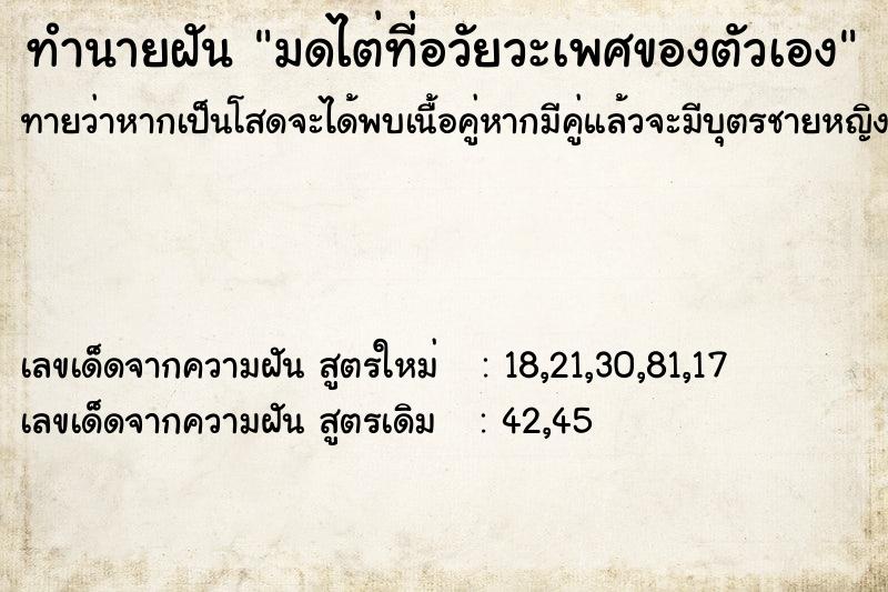 ทำนายฝัน มดไต่ที่อวัยวะเพศของตัวเอง