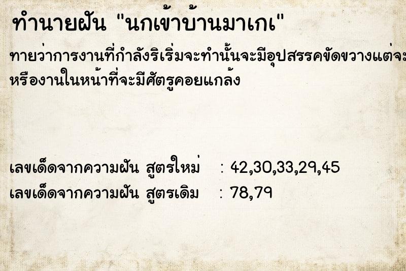 ทำนายฝัน นกเข้าบ้านมาเกà