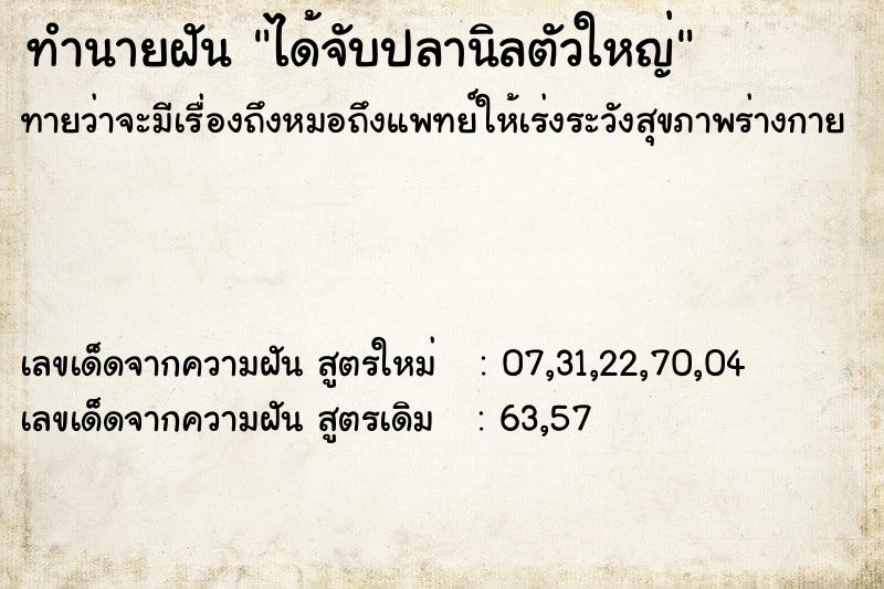 ทำนายฝัน ได้จับปลานิลตัวใหญ่