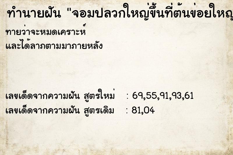 ทำนายฝัน จอมปลวกใหญ่ขึ้นที่ต้นข่อยใหญ่