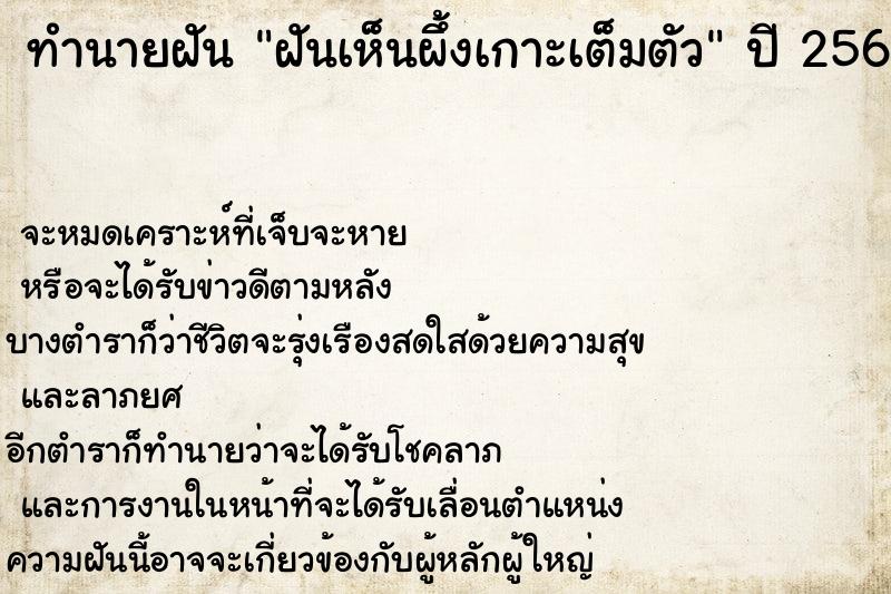 ทำนายฝัน ฝันเห็นผึ้งเกาะเต็มตัว  เลขนำโชค 