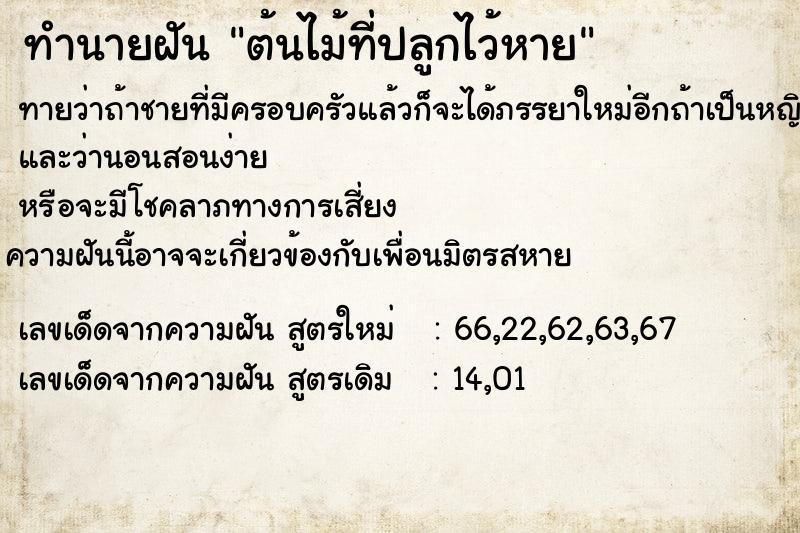 ทำนายฝัน ต้นไม้ที่ปลูกไว้หาย