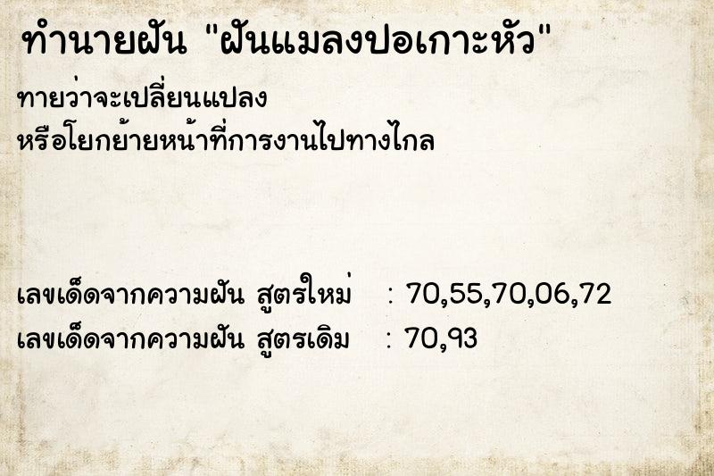 ทำนายฝัน ฝันแมลงปอเกาะหัว