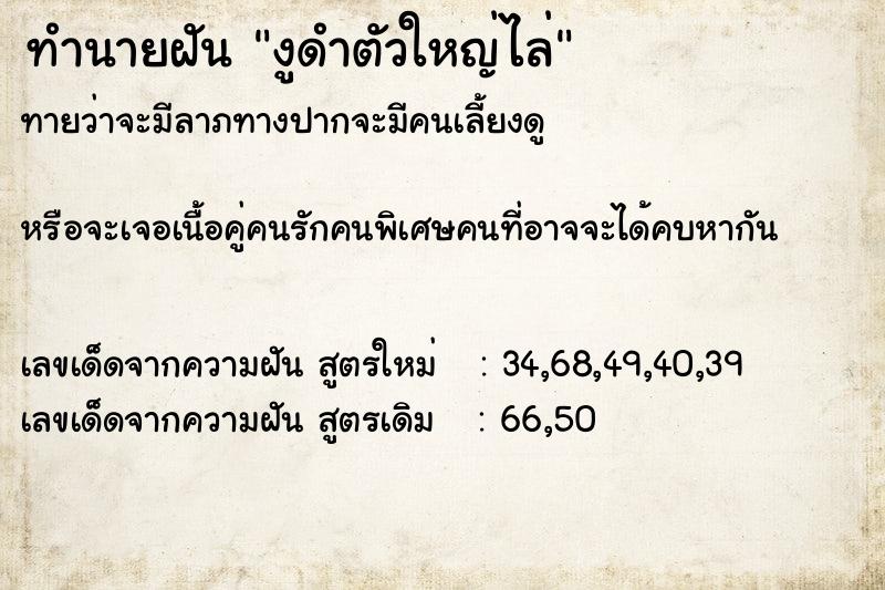 ทำนายฝัน งูดำตัวใหญ่ไล่