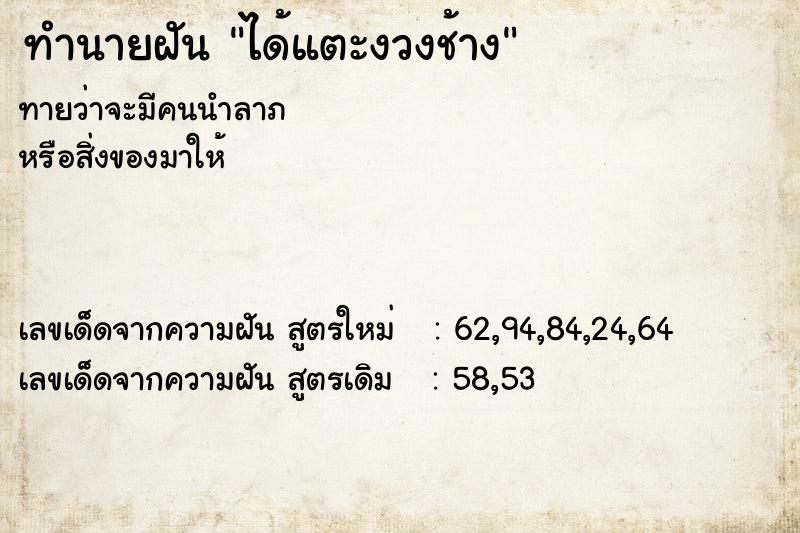 ทำนายฝัน ได้แตะงวงช้าง