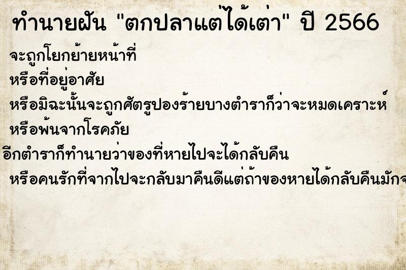 ทำนายฝัน ตกปลาแต่ได้เต่า