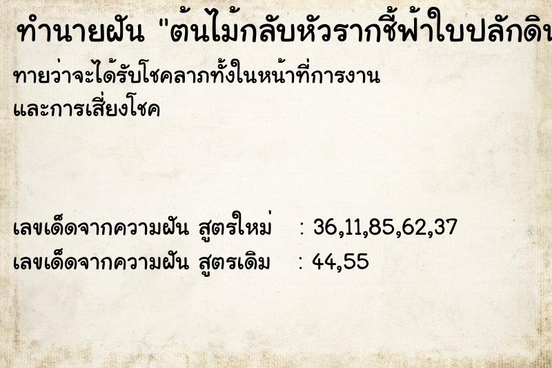 ทำนายฝัน ต้นไม้กลับหัวรากชี้ฟ้าใบปลักดิน