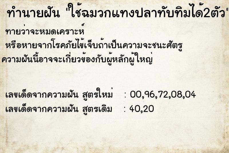 ทำนายฝัน ใช้ฉมวกแทงปลาทับทิมได้2ตัว