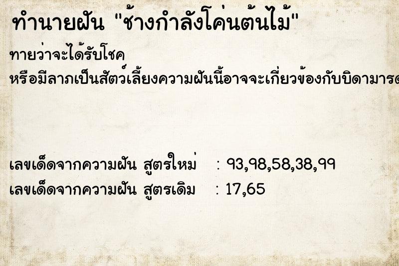 ทำนายฝัน ช้างกำลังโค่นต้นไม้