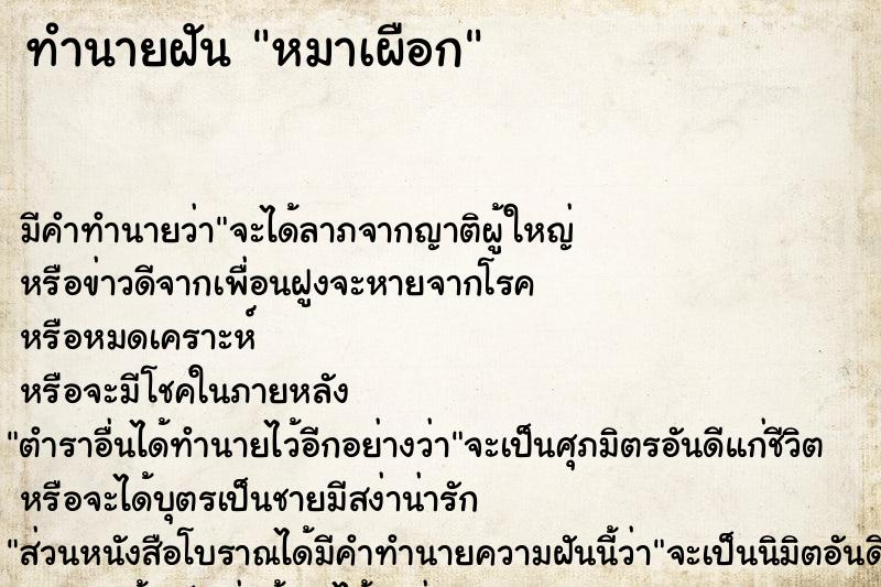 ทำนายฝัน หมาเผือก