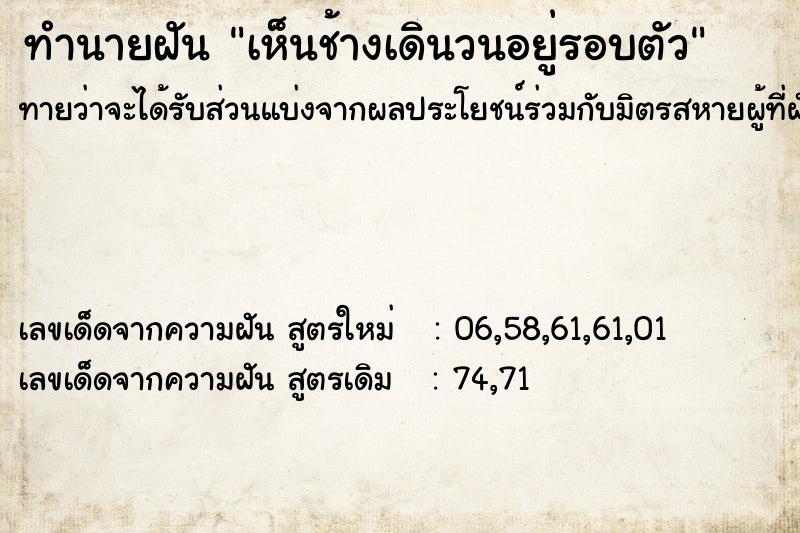 ทำนายฝัน เห็นช้างเดินวนอยู่รอบตัว