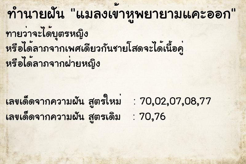 ทำนายฝัน แมลงเข้าหูพยายามแคะออก