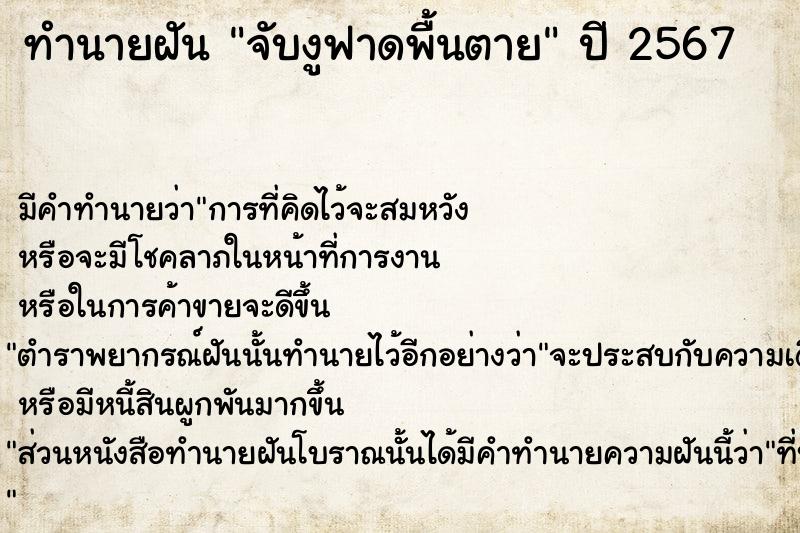 ทำนายฝัน #ทำนายฝัน #จับงูฟาดพื้นตาย  เลขนำโชค 