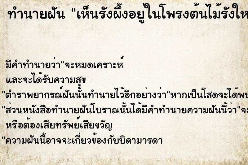 ทำนายฝัน เห็นรังผึ้งอยู่ในโพรงต้นไม้รังใหญ่มาก