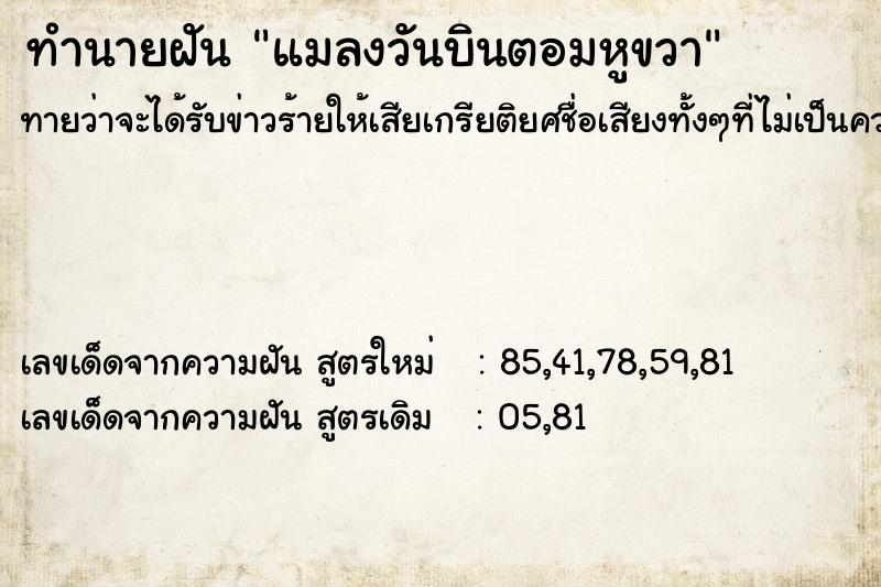 ทำนายฝัน แมลงวันบินตอมหูขวา