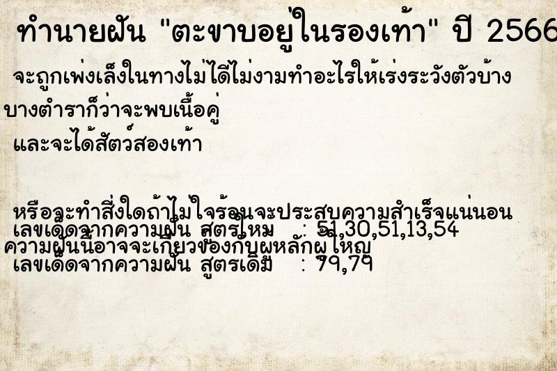 ทำนายฝัน ตะขาบอยู่ในรองเท้า