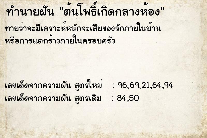 ทำนายฝัน ต้นโพธิ์เกิดกลางห้อง