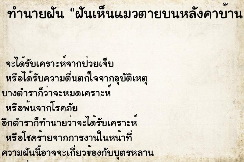 ทำนายฝัน ฝันเห็นแมวตายบนหลังคาบ้าน