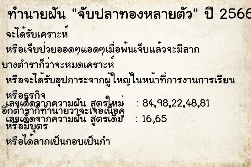 ทำนายฝัน จับปลาทองหลายตัว  เลขนำโชค 