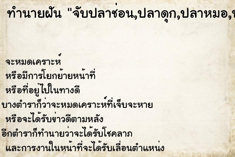 ทำนายฝัน จับปลาช่อน,ปลาดุก,ปลาหมอ,ปลาตะเพียน