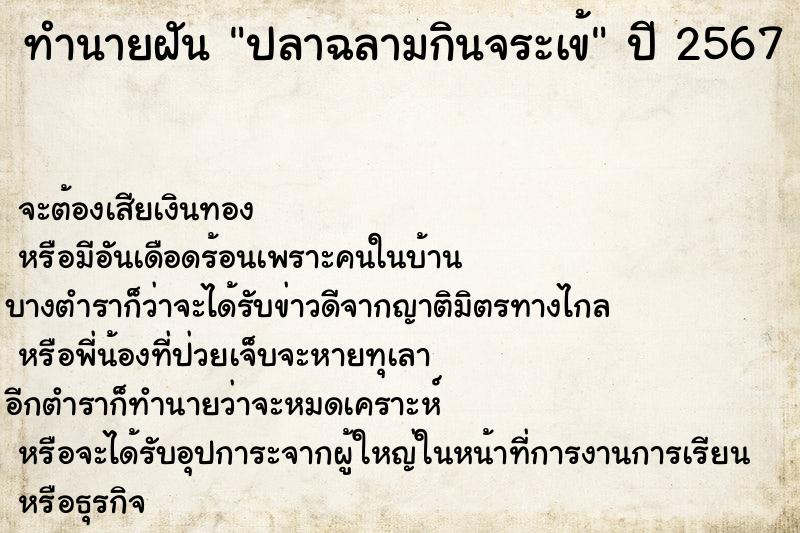 ทำนายฝัน ปลาฉลามกินจระเข้