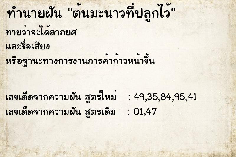 ทำนายฝัน ต้นมะนาวที่ปลูกไว้