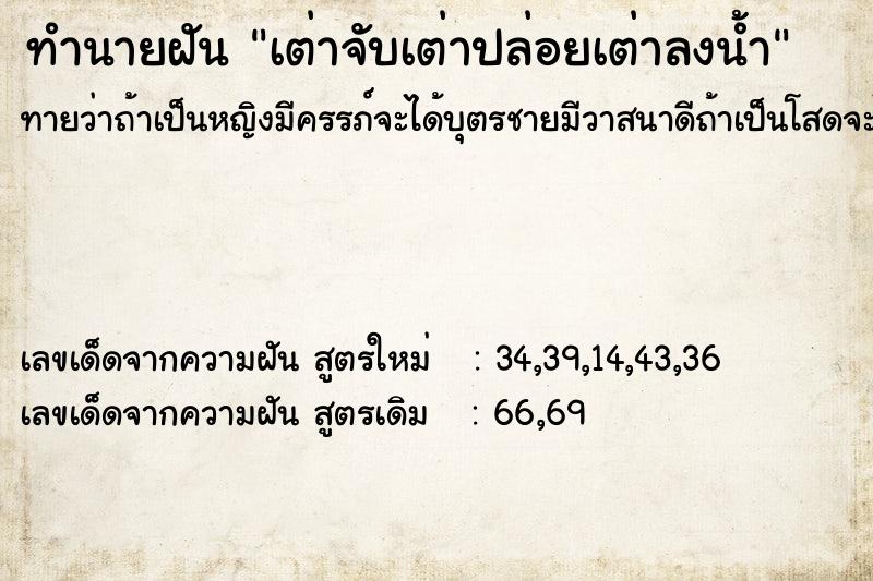 ทำนายฝัน เต่าจับเต่าปล่อยเต่าลงน้ำ