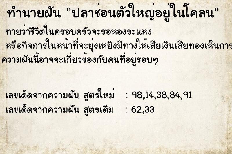 ทำนายฝัน ปลาช่อนตัวใหญ่อยู่ในโคลน