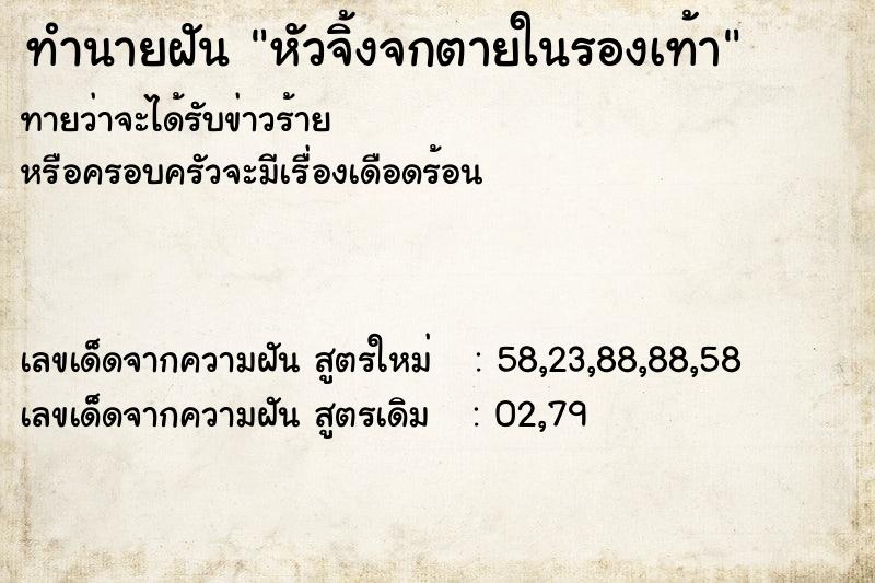 ทำนายฝัน หัวจิ้งจกตายในรองเท้า