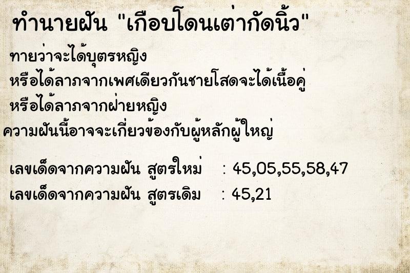 ทำนายฝัน เกือบโดนเต่ากัดนิ้ว