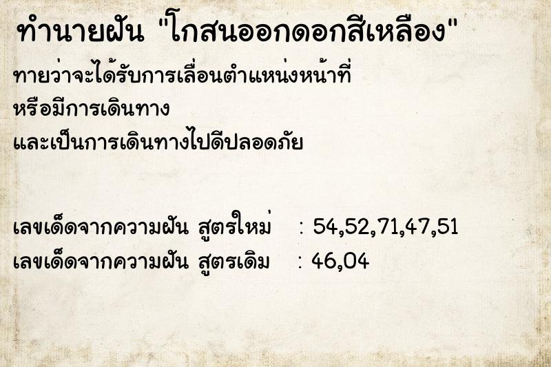 ทำนายฝัน โกสนออกดอกสีเหลือง