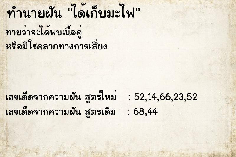 ทำนายฝัน ได้เก็บมะไฟ