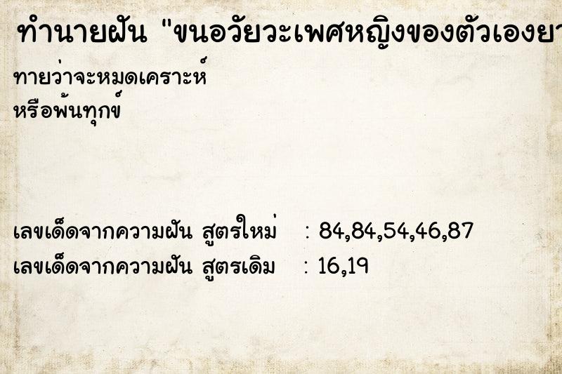 ทำนายฝัน ขนอวัยวะเพศหญิงของตัวเองยาวมาก