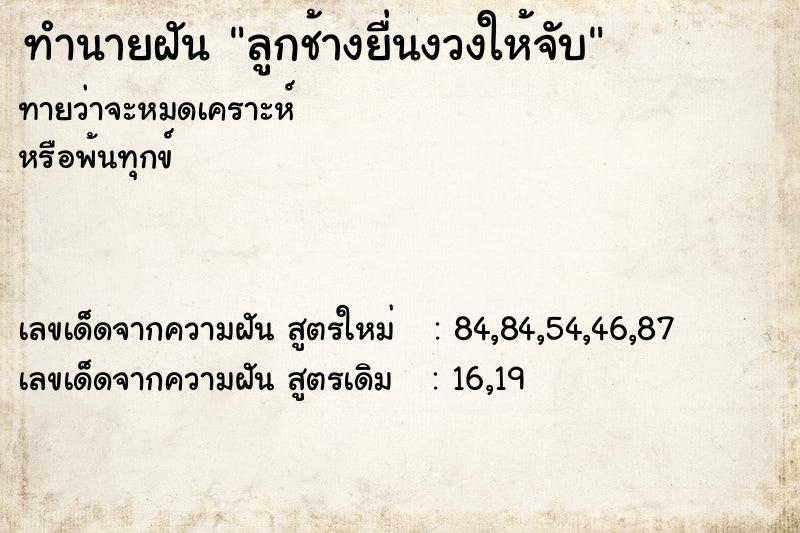 ทำนายฝัน ลูกช้างยื่นงวงให้จับ