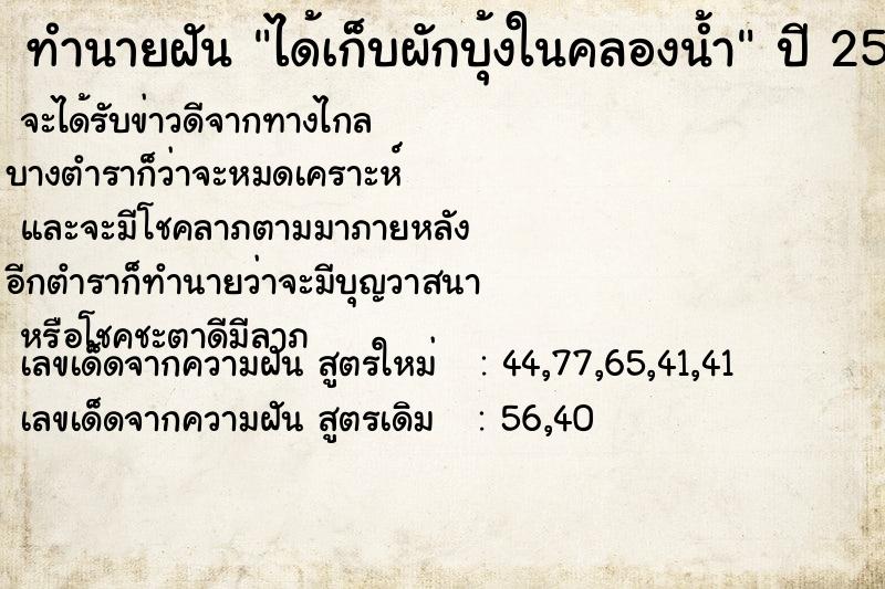 ทำนายฝัน ได้เก็บผักบุ้งในคลองน้ำ  เลขนำโชค 