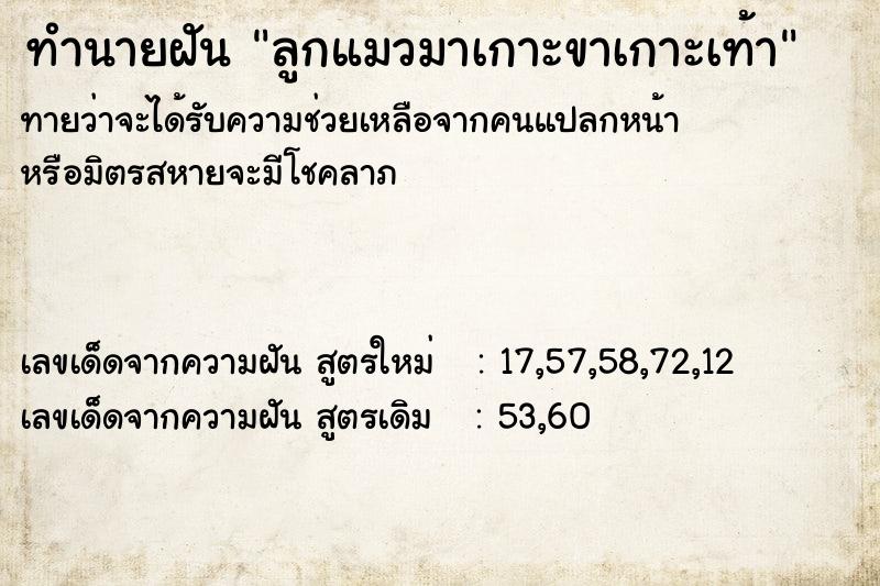 ทำนายฝัน ลูกแมวมาเกาะขาเกาะเท้า