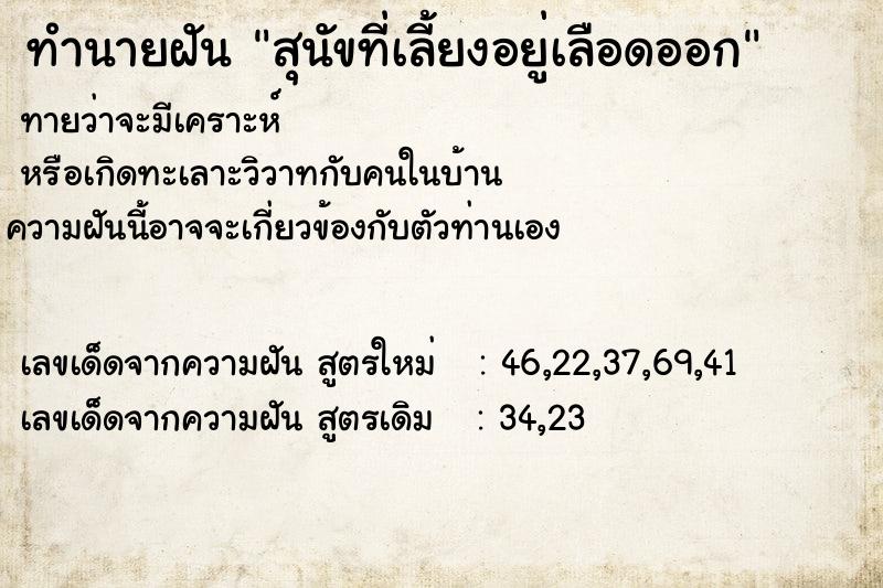 ทำนายฝัน สุนัขที่เลี้ยงอยู่เลือดออก