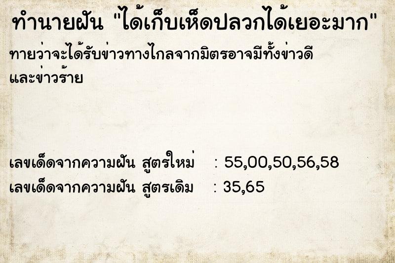 ทำนายฝัน ได้เก็บเห็ดปลวกได้เยอะมาก