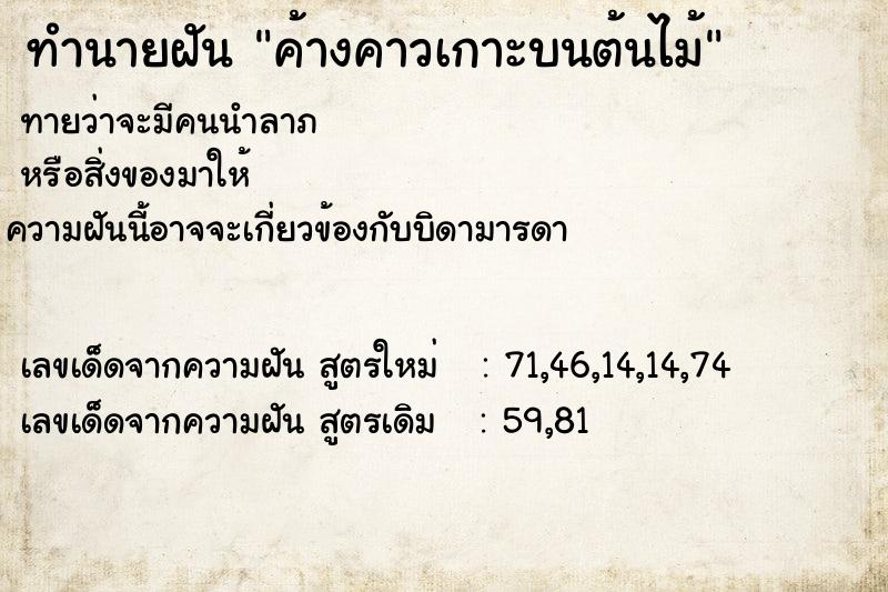 ทำนายฝัน ค้างคาวเกาะบนต้นไม้