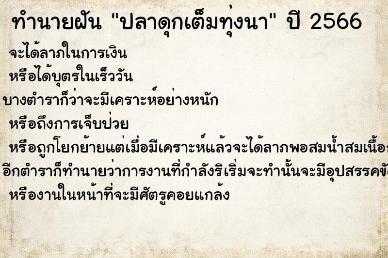 ทำนายฝัน ปลาดุกเต็มทุ่งนา