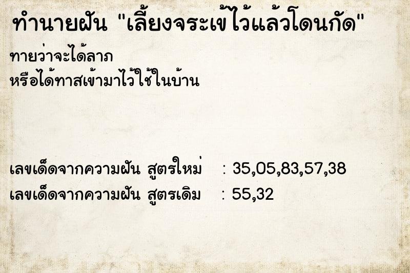 ทำนายฝัน เลี้ยงจระเข้ไว้แล้วโดนกัด