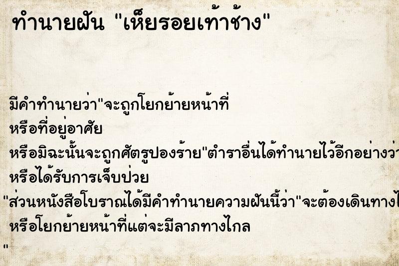 ทำนายฝัน เห็ยรอยเท้าช้าง