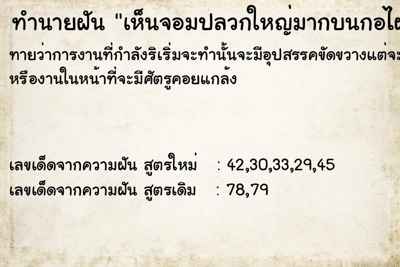 ทำนายฝัน เห็นจอมปลวกใหญ่มากบนกอไผ่