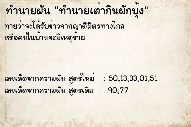 ทำนายฝัน ทำนายเต่ากินผักบุ้ง