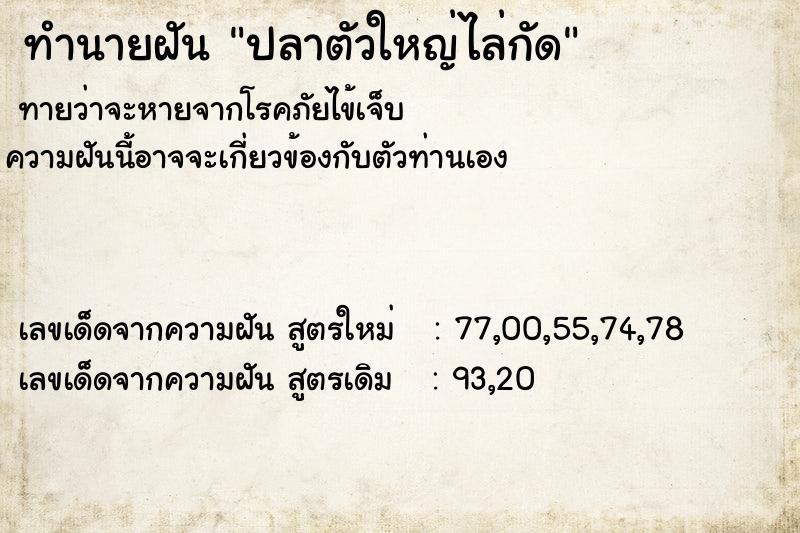 ทำนายฝัน ปลาตัวใหญ่ไล่กัด  เลขนำโชค 