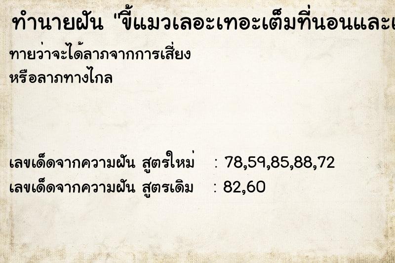 ทำนายฝัน ขี้แมวเลอะเทอะเต็มที่นอนและเต็มตัว