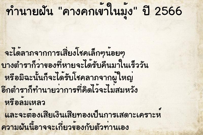 ทำนายฝัน คางคกเข้าในมุ้ง