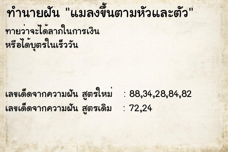 ทำนายฝัน แมลงขึ้นตามหัวและตัว