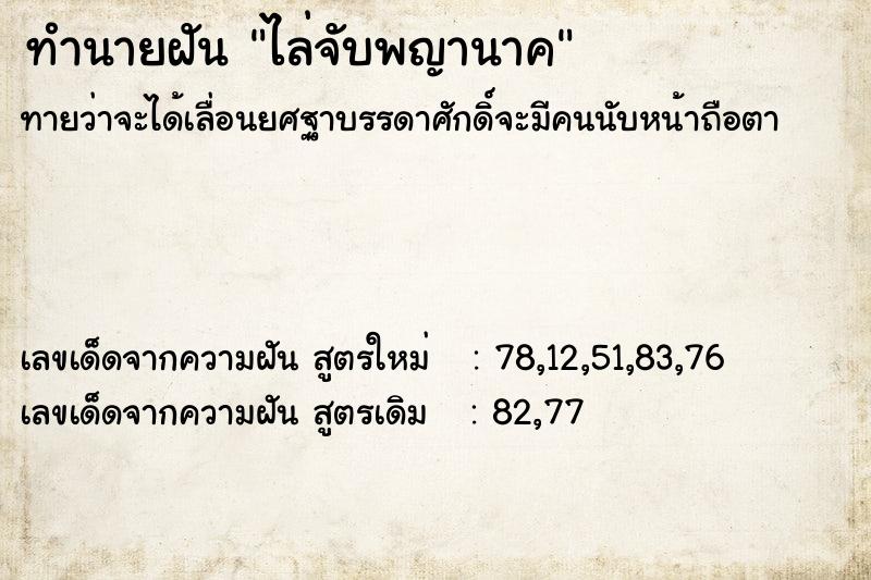 ทำนายฝัน ไล่จับพญานาค  เลขนำโชค 