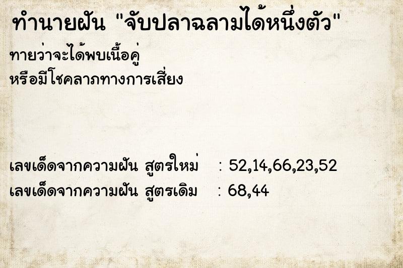 ทำนายฝัน จับปลาฉลามได้หนึ่งตัว